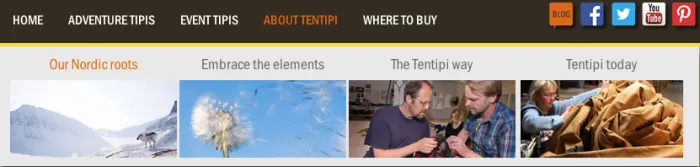 Google ChromeScreenSnapz072.png