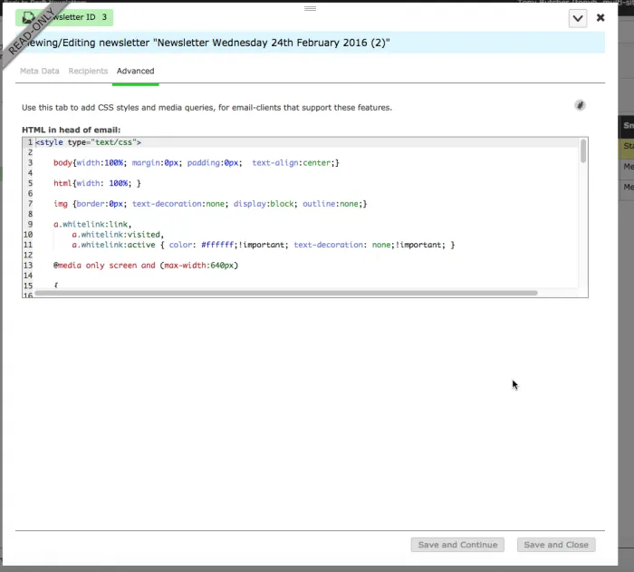 Newsletters Advancd tab, editing CSS and media queries.png