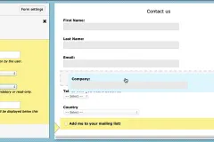 dataset and form editing