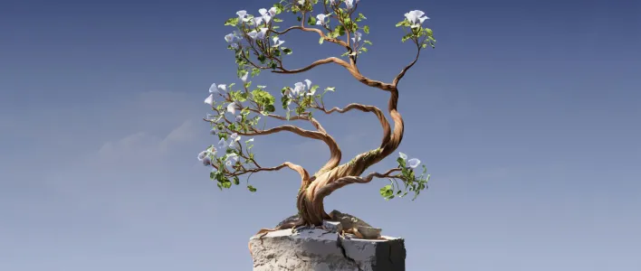 bonsai growing from a block